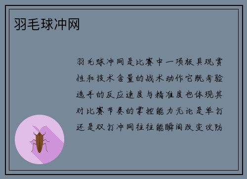 羽毛球冲网