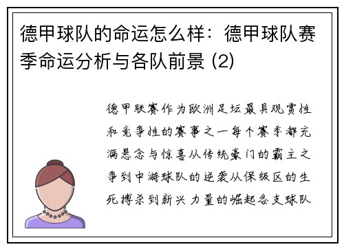 德甲球队的命运怎么样：德甲球队赛季命运分析与各队前景 (2)