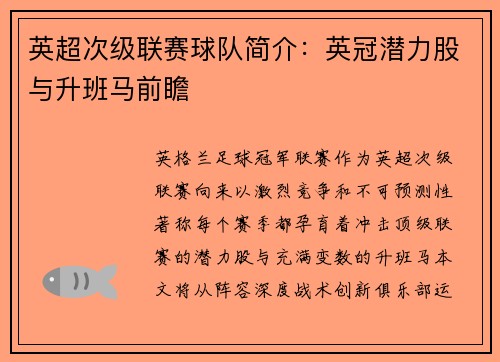 英超次级联赛球队简介：英冠潜力股与升班马前瞻