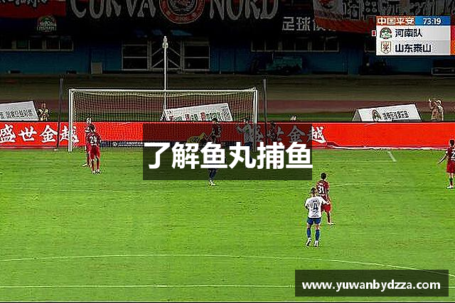 了解鱼丸捕鱼